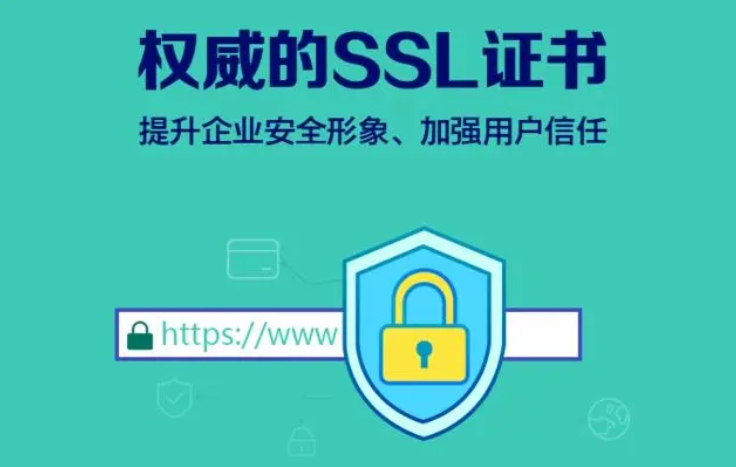 SSL 可信證書(shū)解析及常見(jiàn)類型